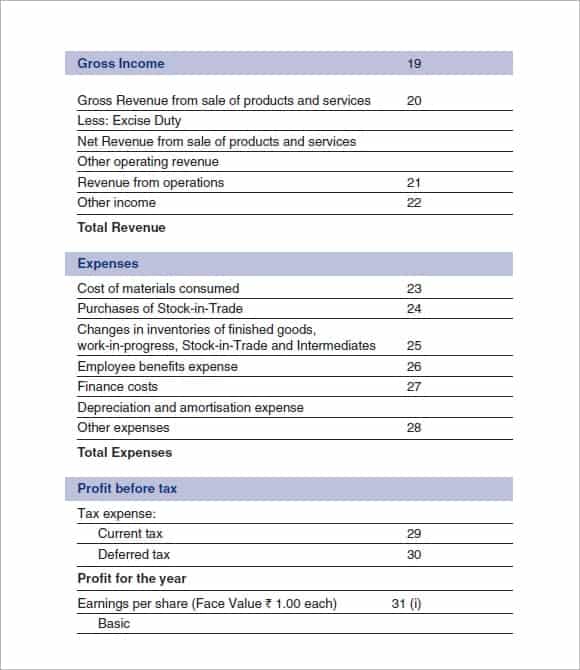 Profit and loss statement template