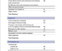 5 Free Profit and Loss Statement Templates