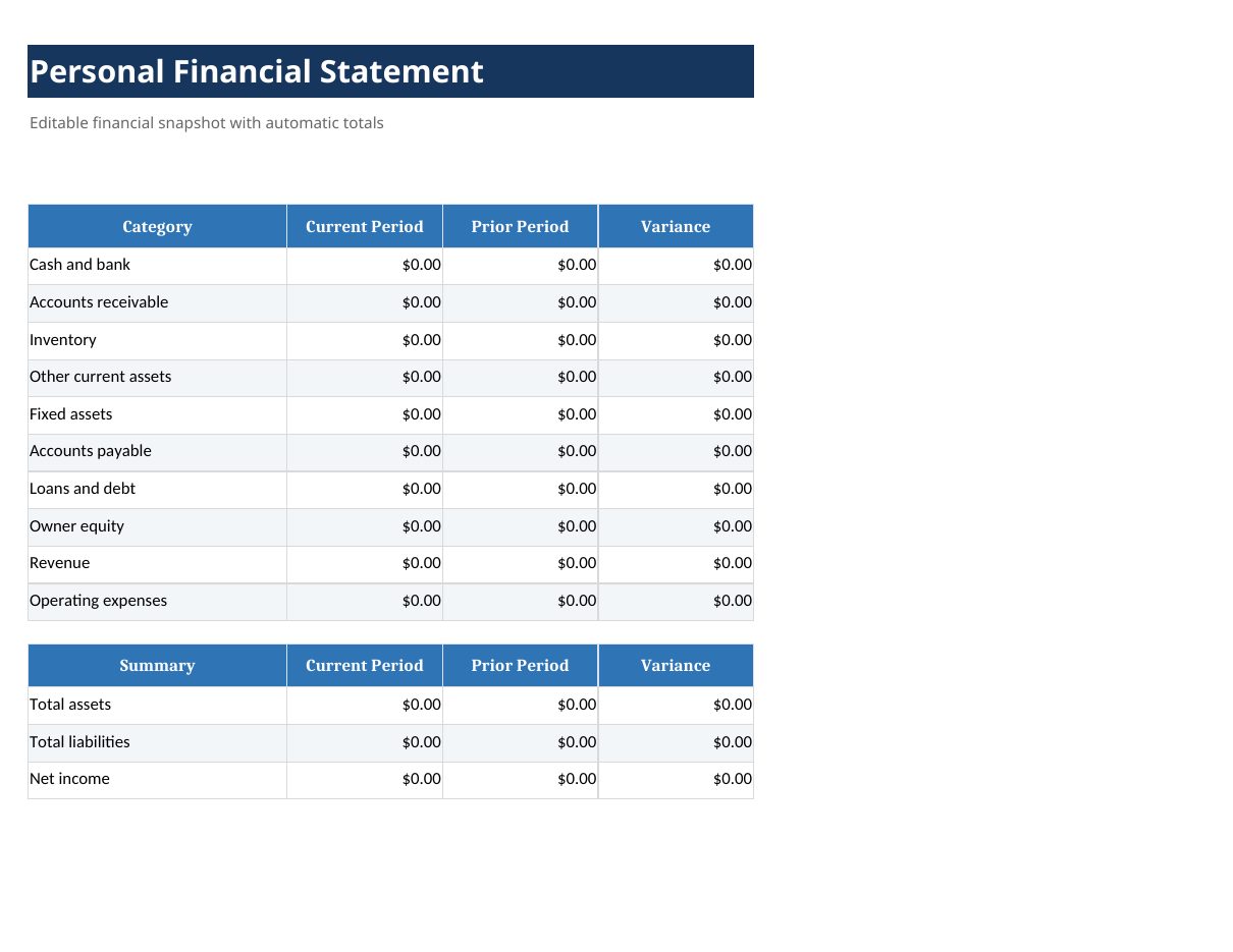 Personal Financial Statement Template preview