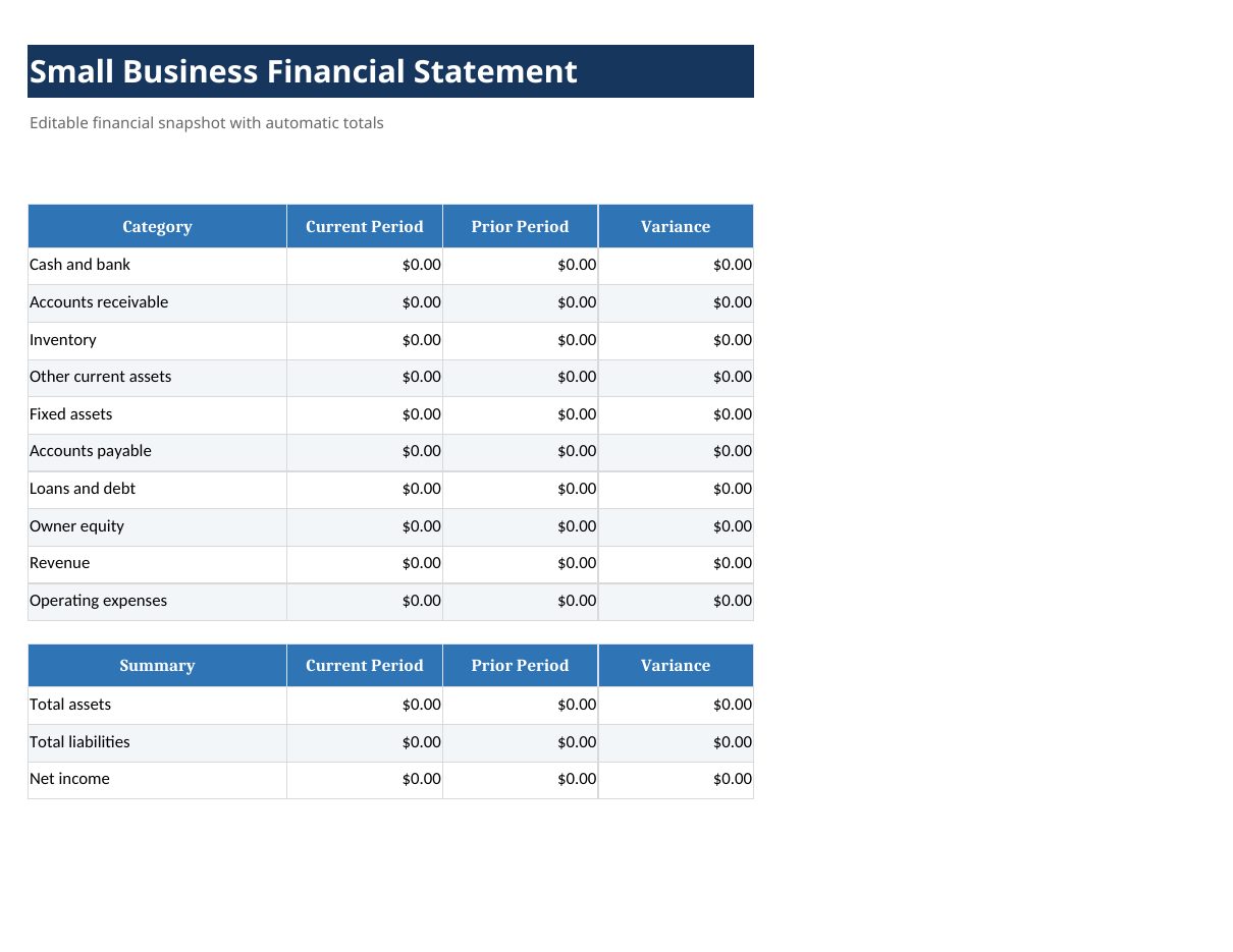 Small Business Financial Statement Template preview