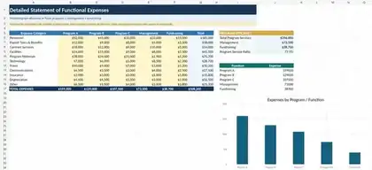 Preview of a multi-program statement of functional expenses Excel template with three program columns, management, fundraising, totals, and efficiency chart